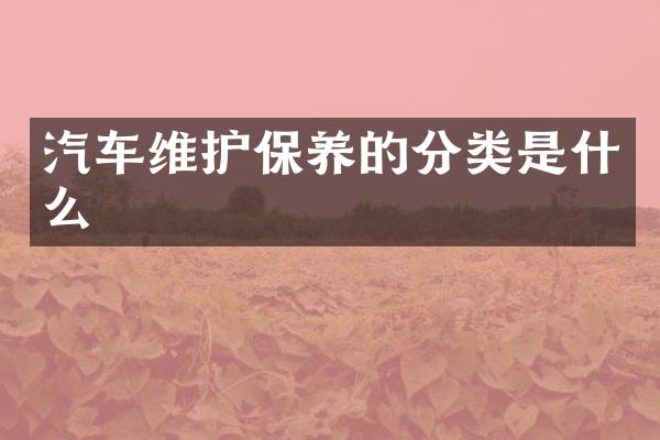 汽车维护保养的分类是什么