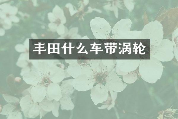 丰田什么车带涡轮