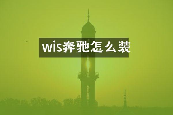 wis奔驰怎么装
