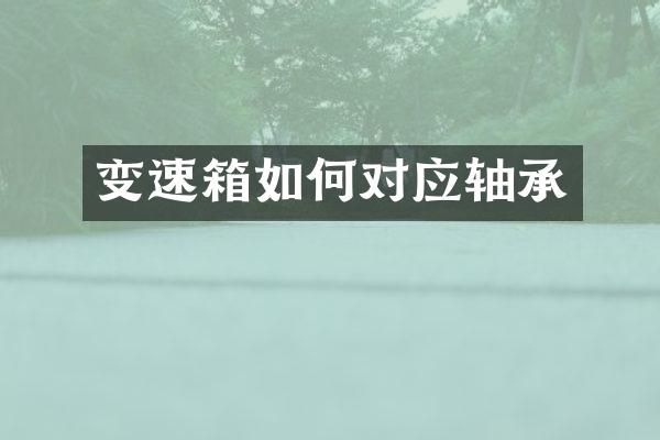 变速箱如何对应轴承