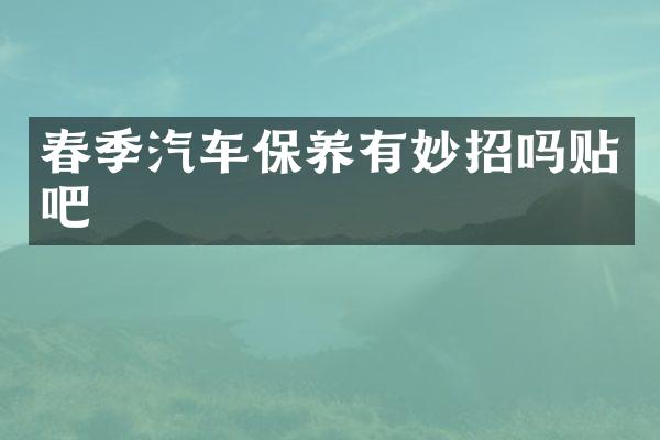 春季汽车保养有妙招吗贴吧