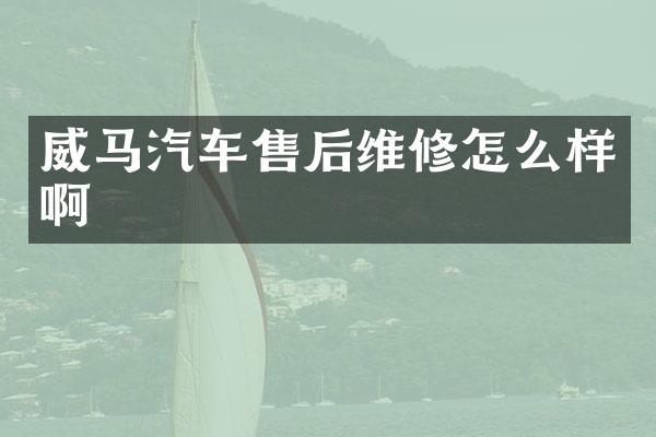 威马汽车售后维修怎么样啊
