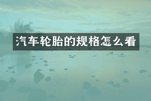汽车轮胎的规格怎么看