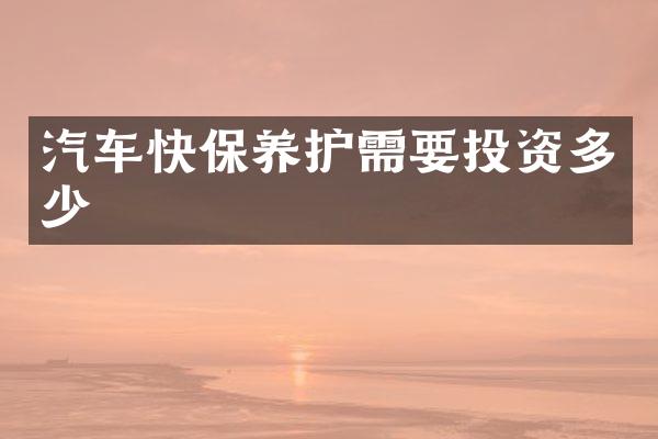 汽车快保养护需要投资多少