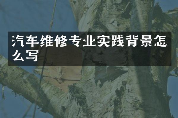 汽车维修专业实践背景怎么写