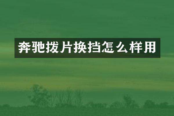 奔驰拨片换挡怎么样用