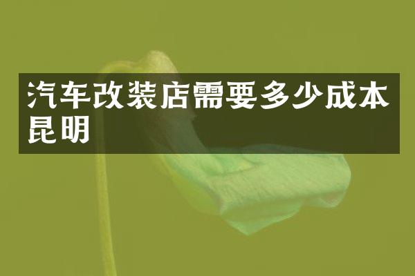汽车改装店需要多少成本昆明