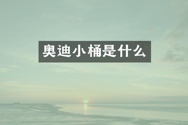 奥迪小桶是什么