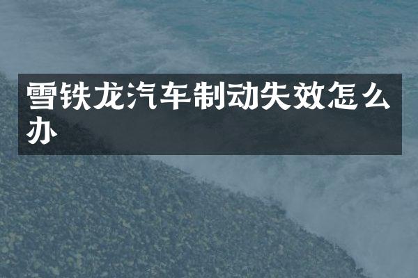 雪铁龙汽车制动失效怎么办