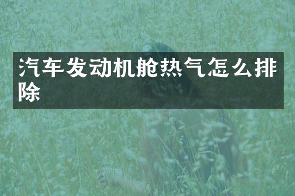 汽车发动机舱热气怎么排除