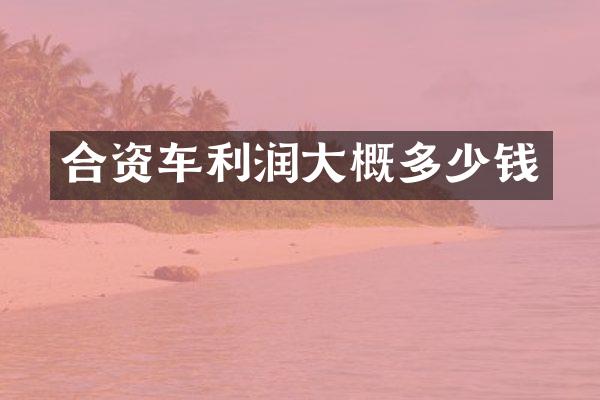 合资车利润大概多少钱