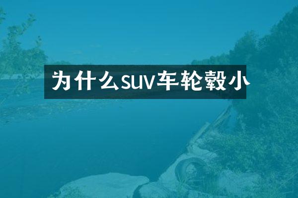 为什么suv车轮毂小
