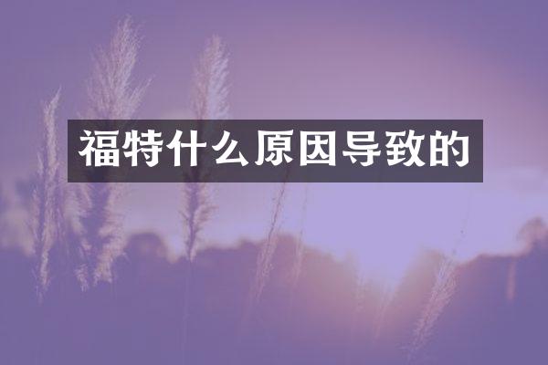 福特什么原因导致的