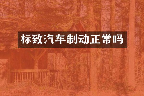 标致汽车制动正常吗