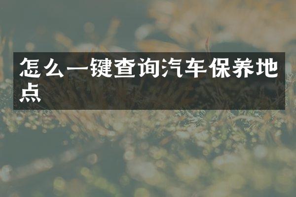 怎么一键查询汽车保养地点