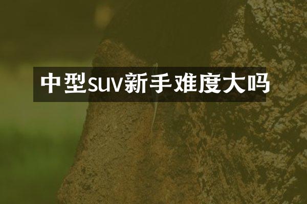 中型suv新手难度大吗