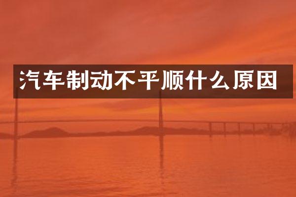 汽车制动不平顺什么原因