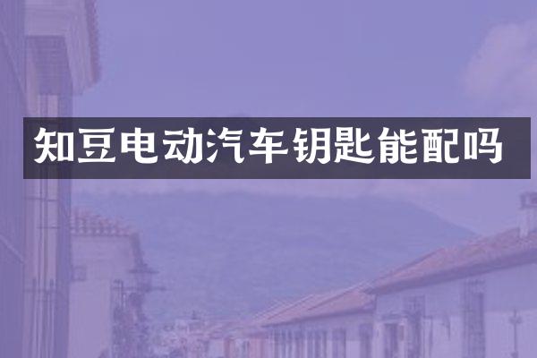 知豆电动汽车钥匙能配吗