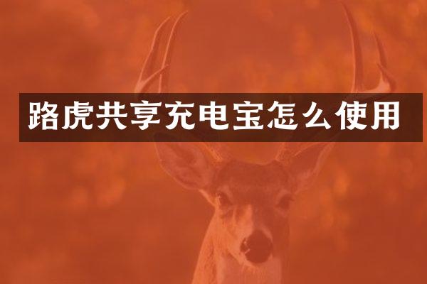 路虎共享充电宝怎么使用
