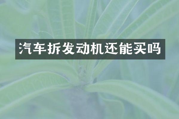 汽车拆发动机还能买吗