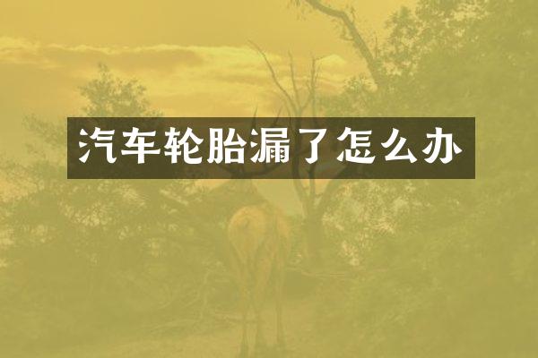 汽车轮胎漏了怎么办