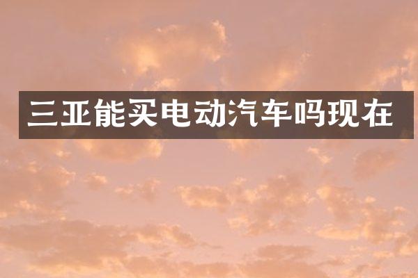三亚能买电动汽车吗现在