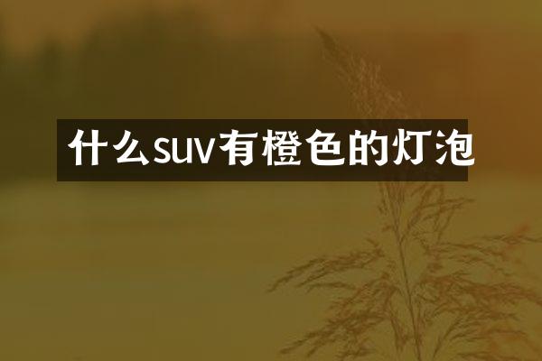 什么suv有橙色的灯泡