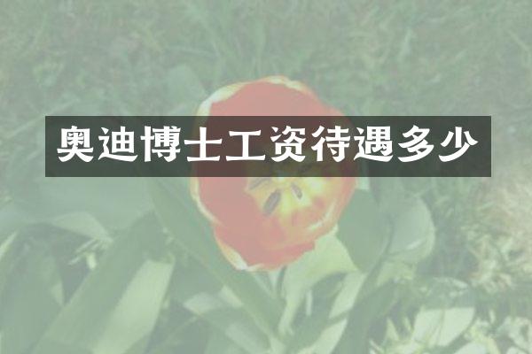 奥迪博士工资待遇多少