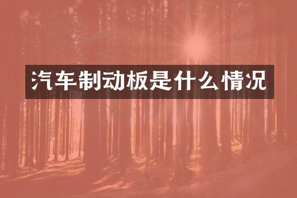 汽车制动板是什么情况