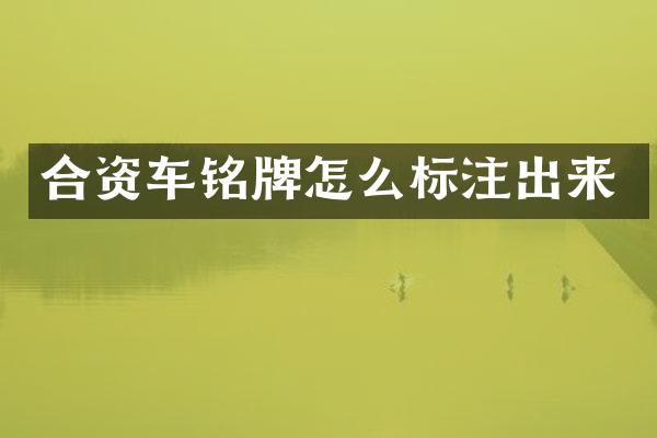 合资车铭牌怎么标注出来