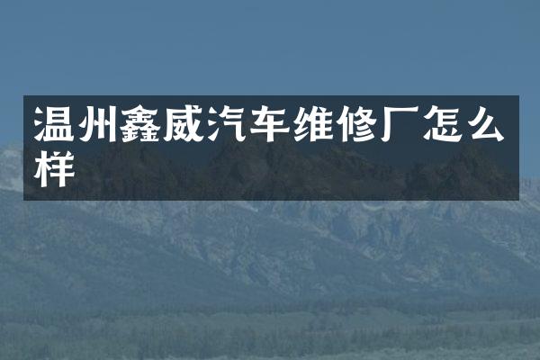 温州鑫威汽车维修厂怎么样