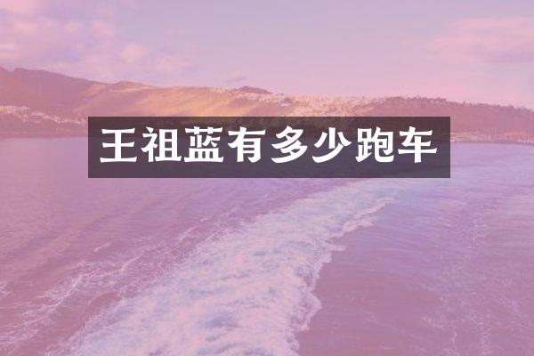 王祖蓝有多少跑车