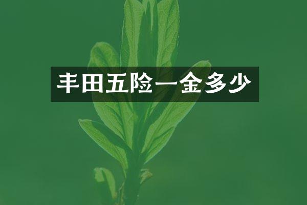 丰田五险一金多少