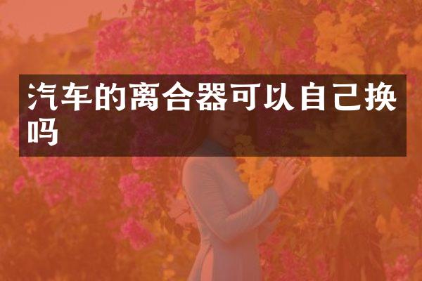 汽车的离合器可以自己换吗
