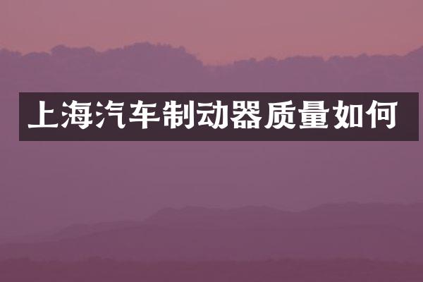 上海汽车制动器质量如何