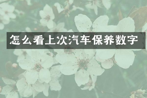 怎么看上次汽车保养数字