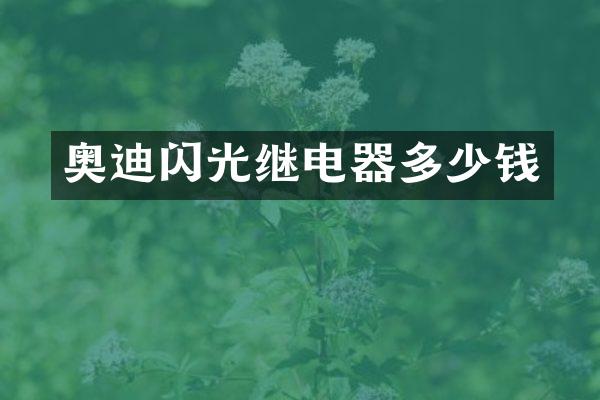 奥迪闪光继电器多少钱
