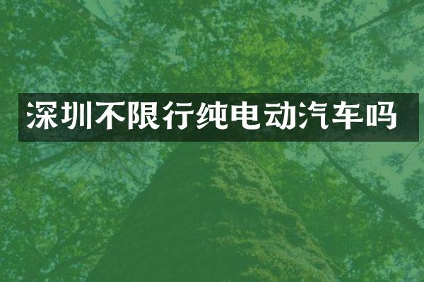 深圳不限行纯电动汽车吗