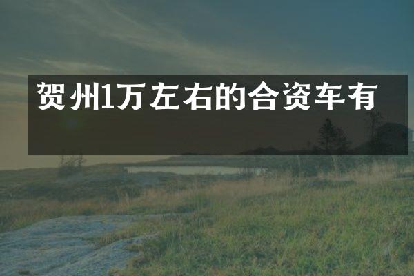 贺州1万左右的合资车有吗