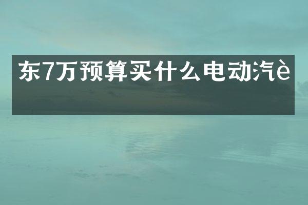 东7万预算电动汽车