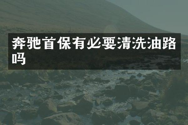 奔驰首保有必要清洗油路吗