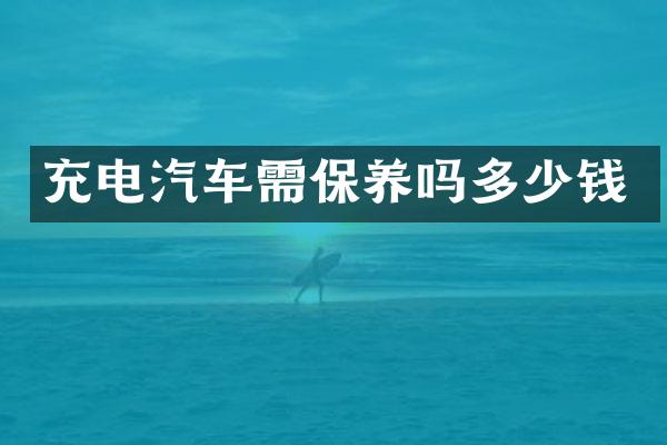 充电汽车需保养吗多少钱