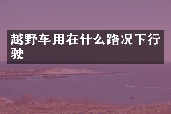 越野车用在什么路况下行驶