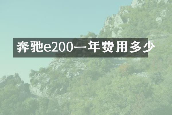 奔驰e200一年费用多少