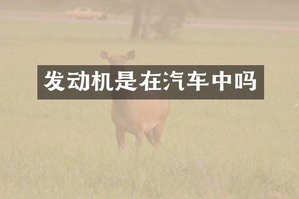 发动机是在汽车中吗