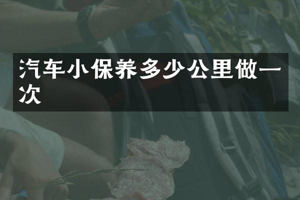 汽车小保养多少公里做一次