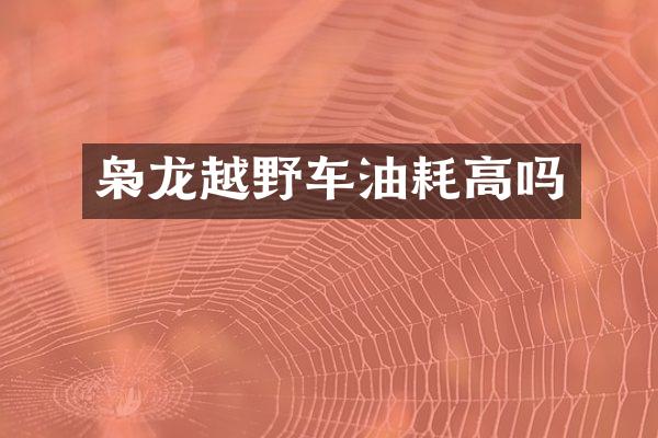 枭龙越野车油耗高吗