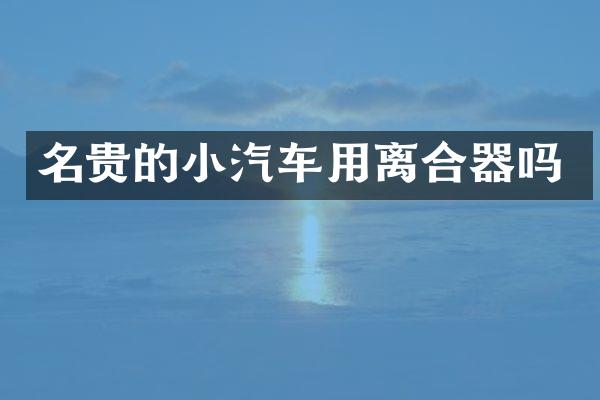 名贵的小汽车用离合器吗