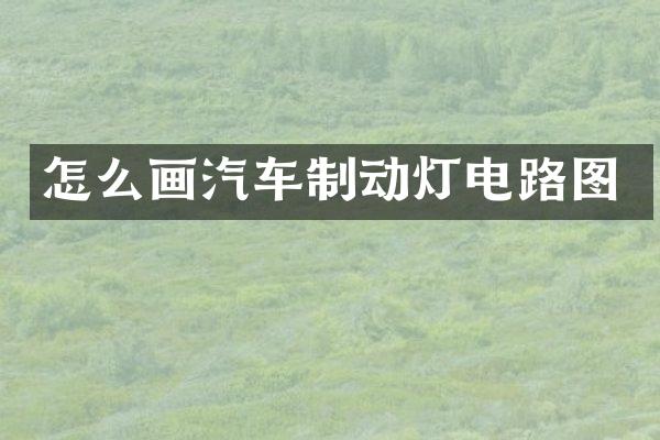 怎么画汽车制动灯电路图