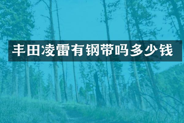 丰田凌雷有钢带吗多少钱